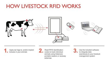 rfid tagging animals marine life|livestock tracking tags.